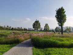 -汉长安城未央宫国家考古遗址公园