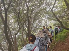 -阳台山自然风景区