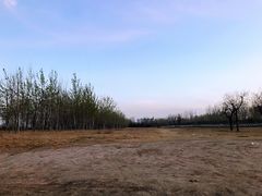 -汉长安城未央宫国家考古遗址公园