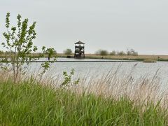 -盐城丹顶鹤湿地生态旅游区