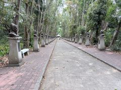 -广东茂名森林公园
