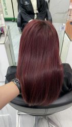 -潘多拉Hairsalon