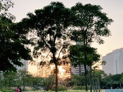 -文华公园(禅城区)