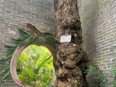 -佛山华盖山公园