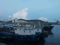 -沈家门渔港