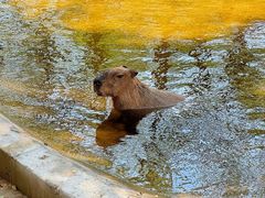 -南戴河国际娱乐中心