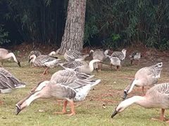 -小六农家乐(崇明西沙湿地店)