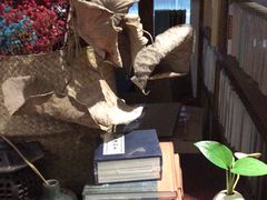 -道南書院·私房菜·早午茶·茶馆