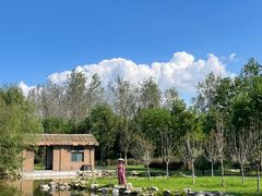 -溱湖国家湿地公园