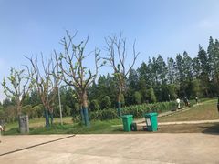 -前小桔亲子创意农场·草莓采摘·露营烧烤