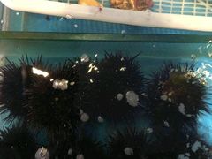 -炉鼎记私房菜(总店)