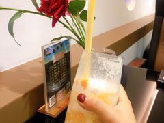 -法兰度航空主题餐厅(河源店)