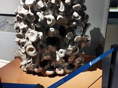 -辽宁古生物博物馆