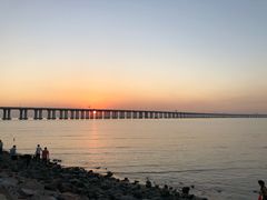 -宝安西湾红树林湿地公园