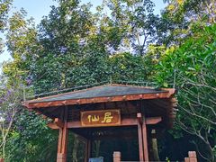 -广州白江湖森林公园