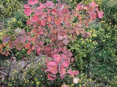 -香山公园-东宫门售票处