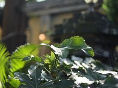 -T80科技文化国际社区-停车场