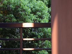 -南京医科大学(江宁校区)