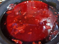 红锅锅底-星鸿社重庆老火锅