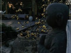 -悦哉·派对·草坪婚礼·围炉煮茶(三圣乡店)