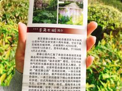 -嘉定紫藤园