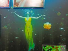 -香洲区图书馆(乐士文化区店)