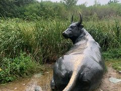 -马家湾湿地公园