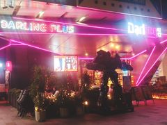 -Darling Queen·Mini·Live·House