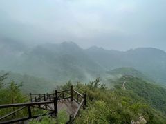 -大岭沟猕猴桃谷风景区