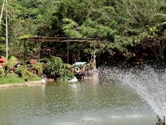 -三亚亚龙湾雅高铂尔曼别墅度假酒店
