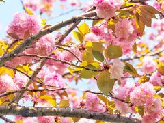 -白塘生态植物园