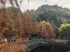 -福道