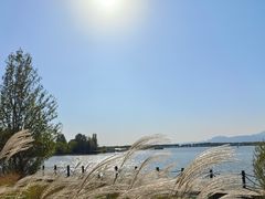 -野鸭湖国家湿地公园