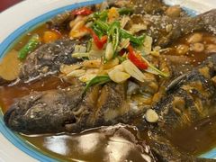 -呼吸森林·生态农庄农家乐私房菜