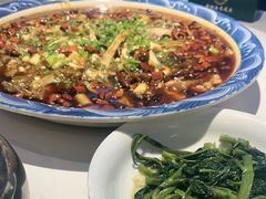 -新概念来凤鱼(璧山店)