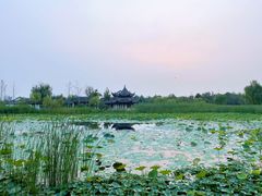-水西公园