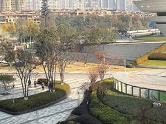 -麓湘小镇(金茂览秀城店)