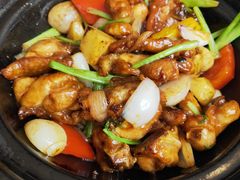 顺德啫啫鸡煲-喜粤8号(四海唐人街店)