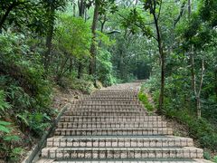 -广州市白云山风景名胜区