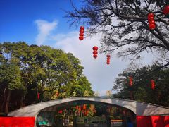 -云溪植物园