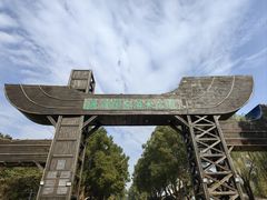 -溱湖国家湿地公园