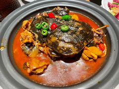 甲鱼炒小公鸡-醉庐·新上海菜(南京西路店)