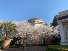 -平湖九龙山庄园圣马可酒店