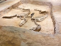 -洛阳周王城天子驾六博物馆