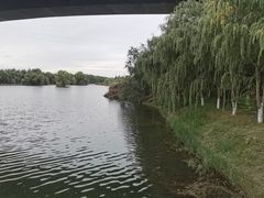 -伊犁河风景区