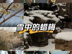 -丰台花园