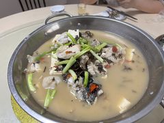-史记安仁鱼头(浙闽赣食用菌交易中心店)