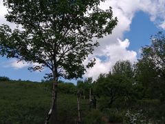 -阳台山自然风景区