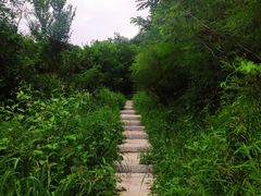 -沈阳辉山风景区