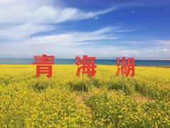 -青海湖国家重点风景名胜区